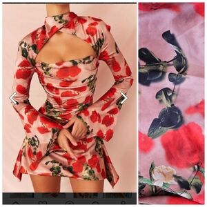 Nwpt House Of cB Toira Rose Print Draped Corset Bloom stunning Geisha Dress Xs